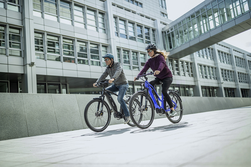 e-bike DISPLAY REMOTE type