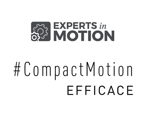 EXPERTS In MOTION