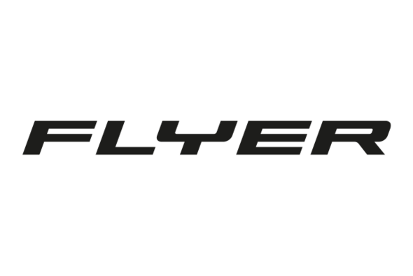 logo ebike flyer