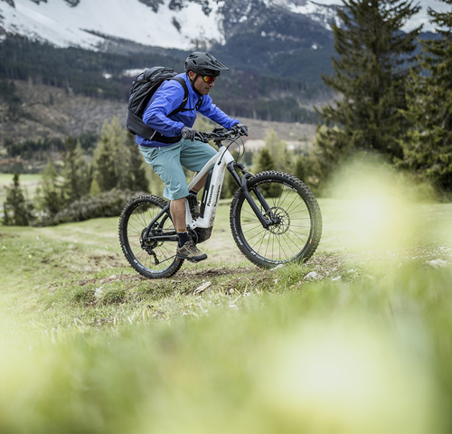 e-bike Battery Charger Mood