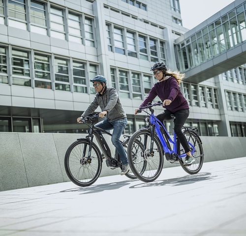 e-bike DISPLAY REMOTE type Panasonic Industry